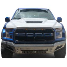 2017-2020 Ford F-150 Raptor Ram Air Hood - 19014000