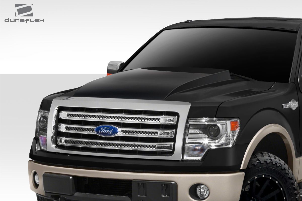 2009 Ford F150 Hood